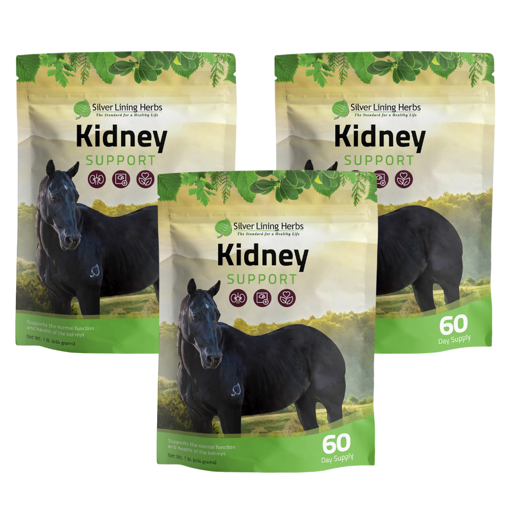 Kidney Support for Horses