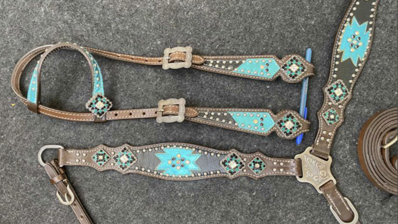 Aztec Blue One Ear Headstall and Breastcollar Set