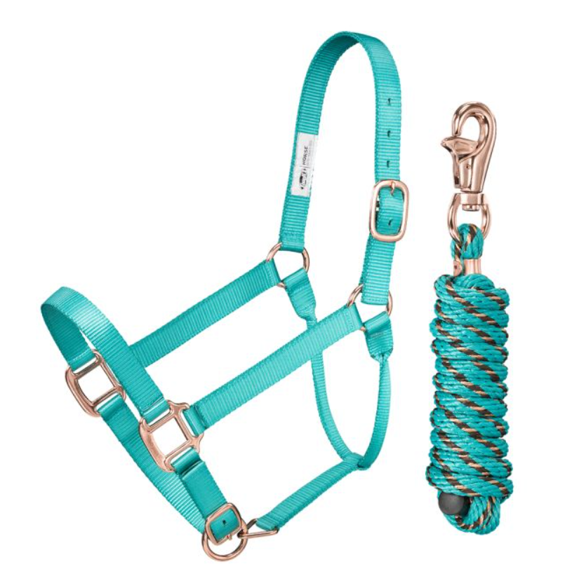 Tough1 Premium Nylon Halter and Lead with Rose Gold Hardware