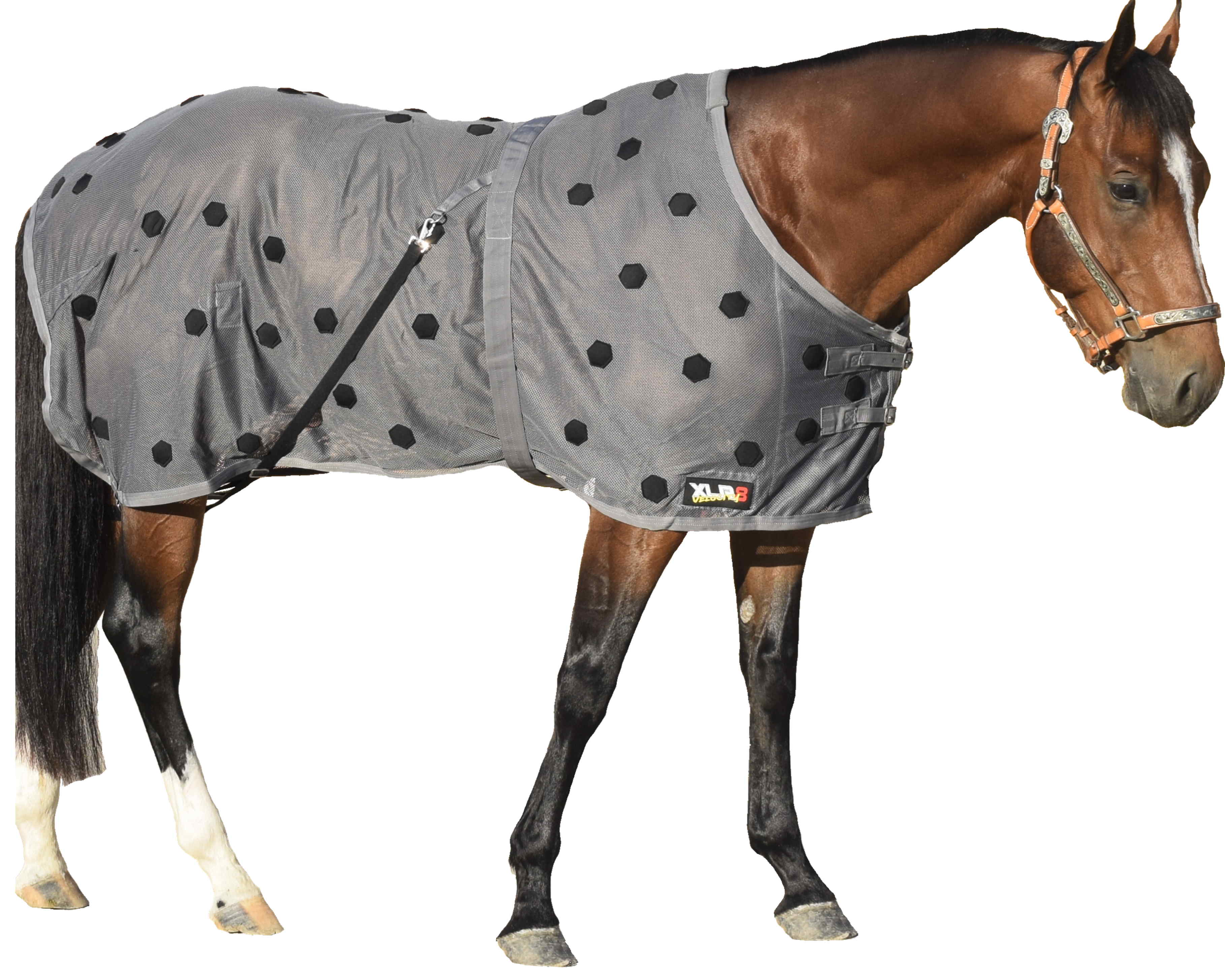Velocity Sheet - Gray