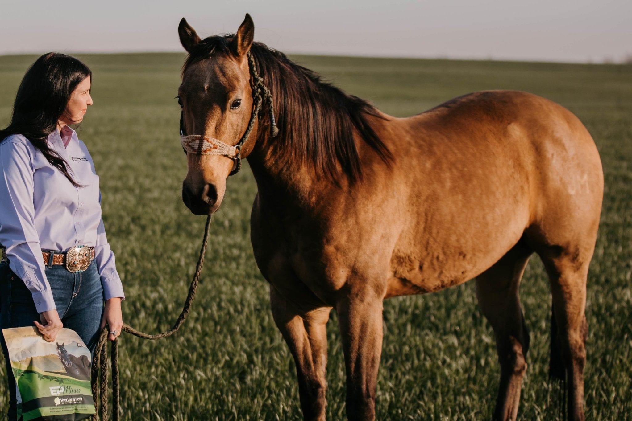 EP Minus For Horses