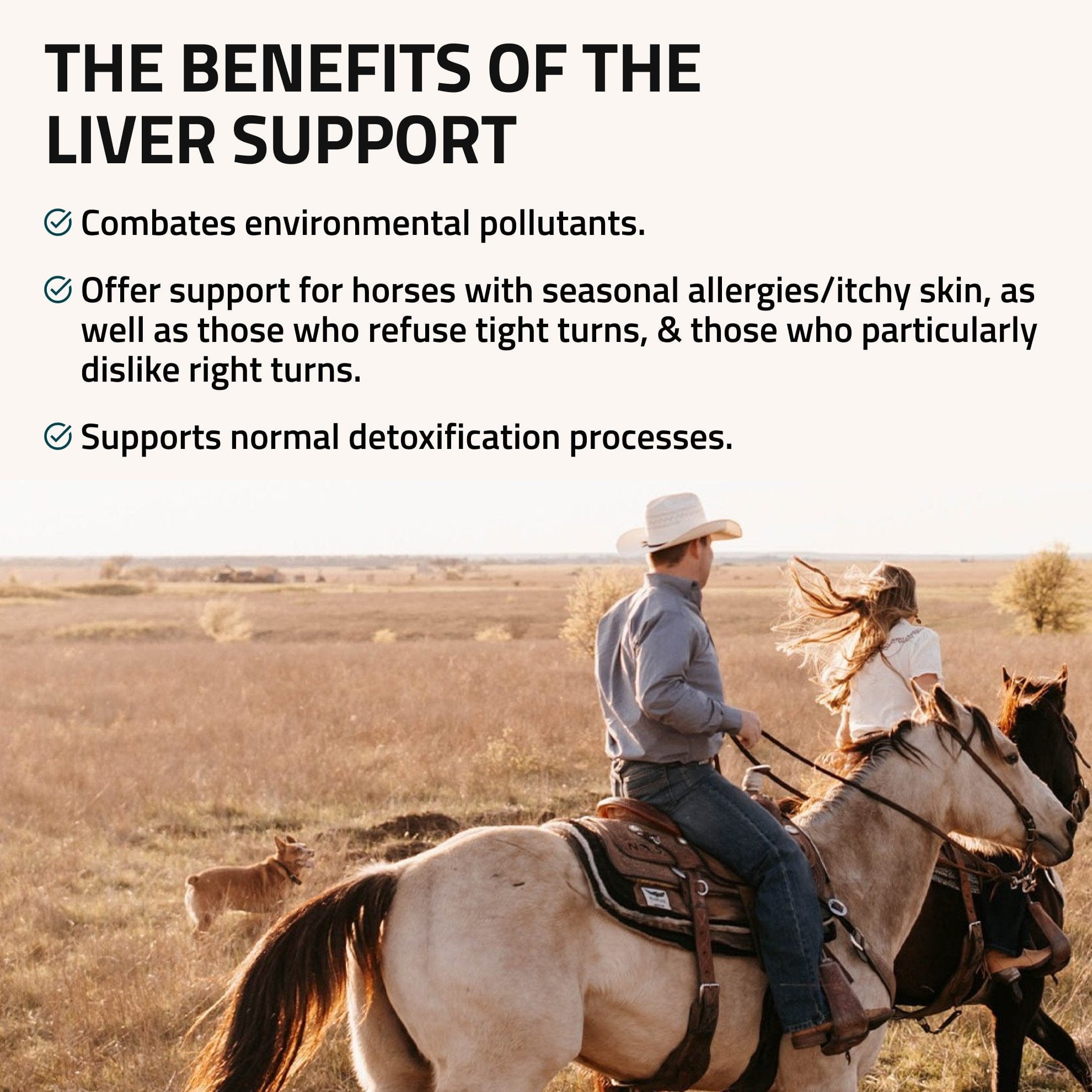 Liver Support for Horses